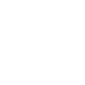 icon1