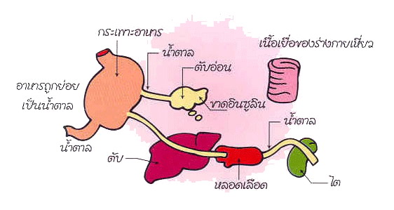 prognosis of diabetes mellitus pdf
